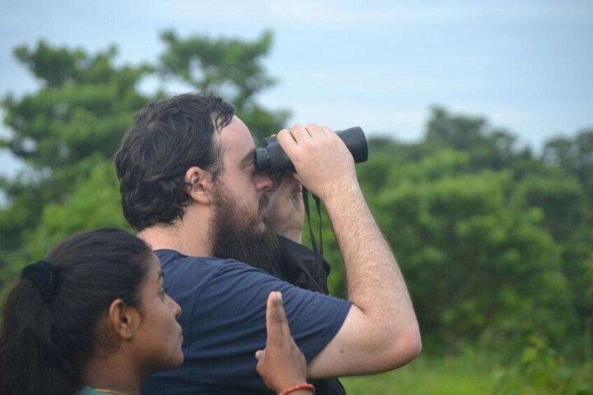 travellers during birdwatching
