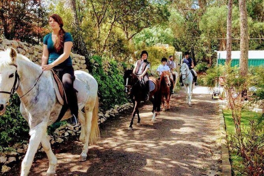 Show item 1 of 2. Horse Riding with Wine Tasting