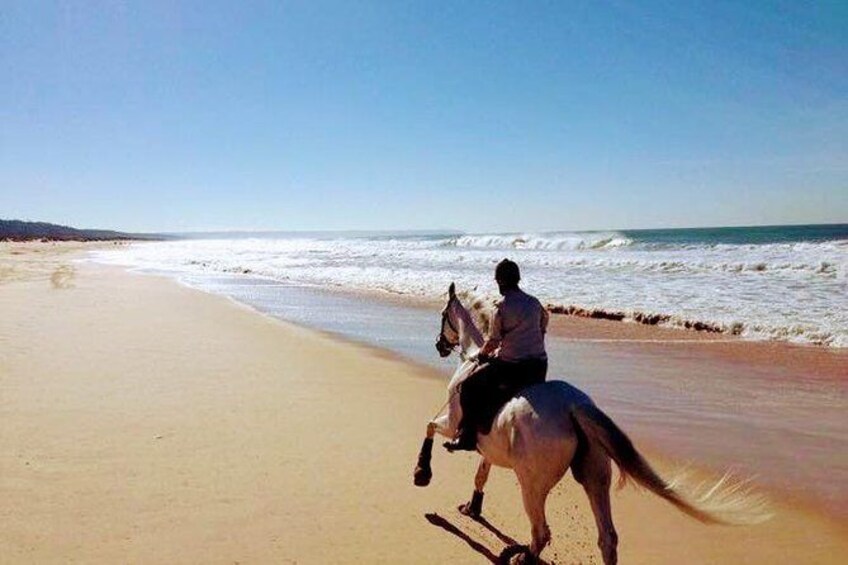 Show item 2 of 2. Beach Horse Riding