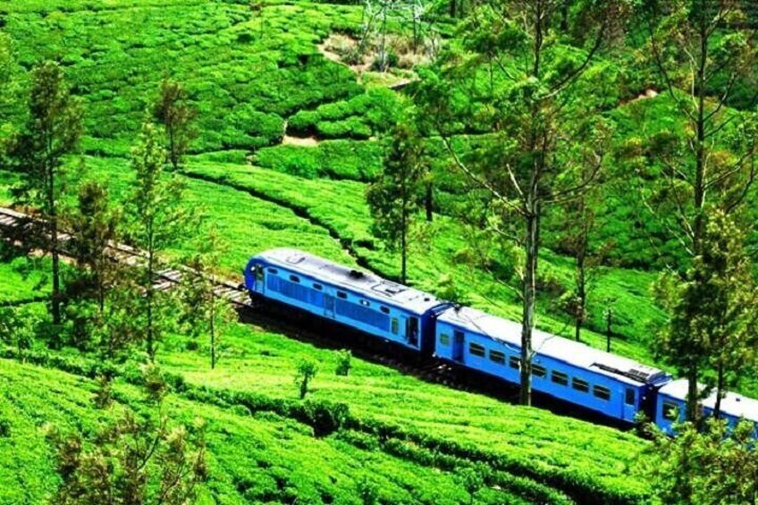 Ohiya - Haputale / Bandarawela / Ella / Badulla train ride