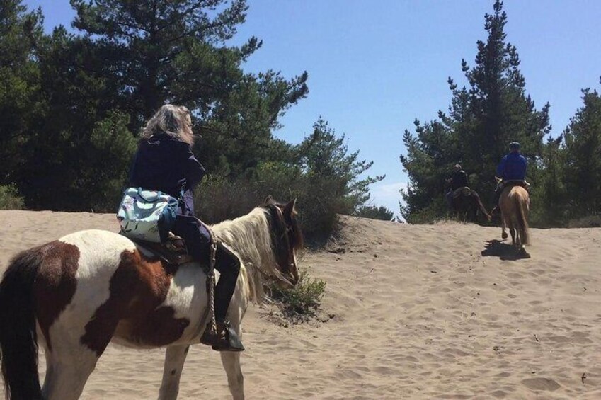 HorseRiding + BARBECUE Ritoque Sand Dunes And Beach (PRIVATE EXCURSION)
