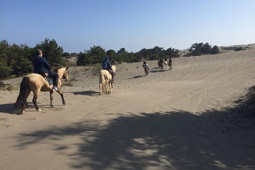HorseRiding + BARBECUE Ritoque Sand Dunes And Beach (PRIVATE EXCURSION)
