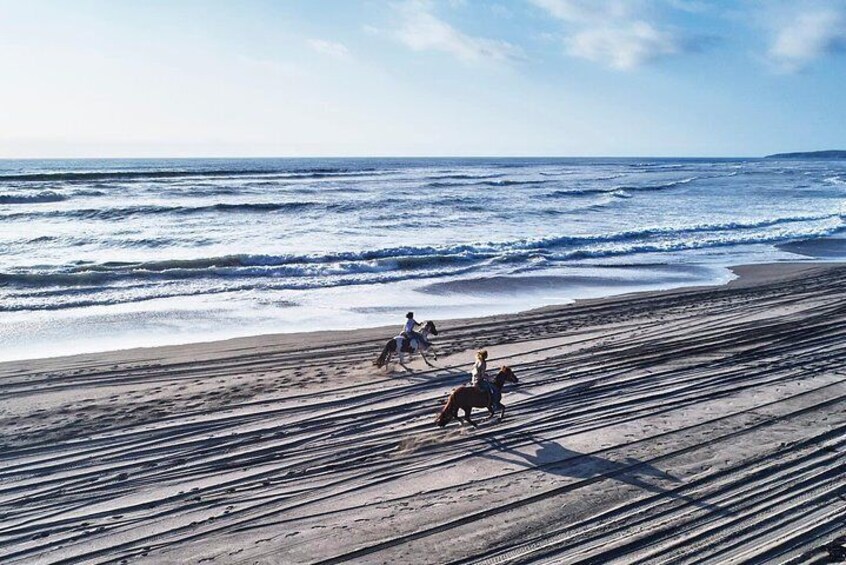 HorseRiding + BARBECUE Ritoque Sand Dunes And Beach (PRIVATE EXCURSION)