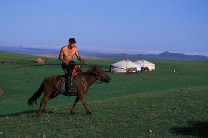 Terelj National Park, dagtocht naar het standbeeld van Chinggis Khan
