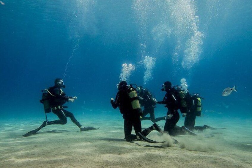 First time diving with Dive College