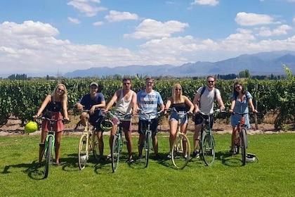 Tour autoguiado en bicicleta por Luján de Cuyo (Mendoza)