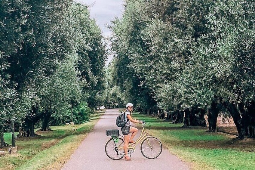 Tour autoguiado en bicicleta por Luján de Cuyo (Mendoza)