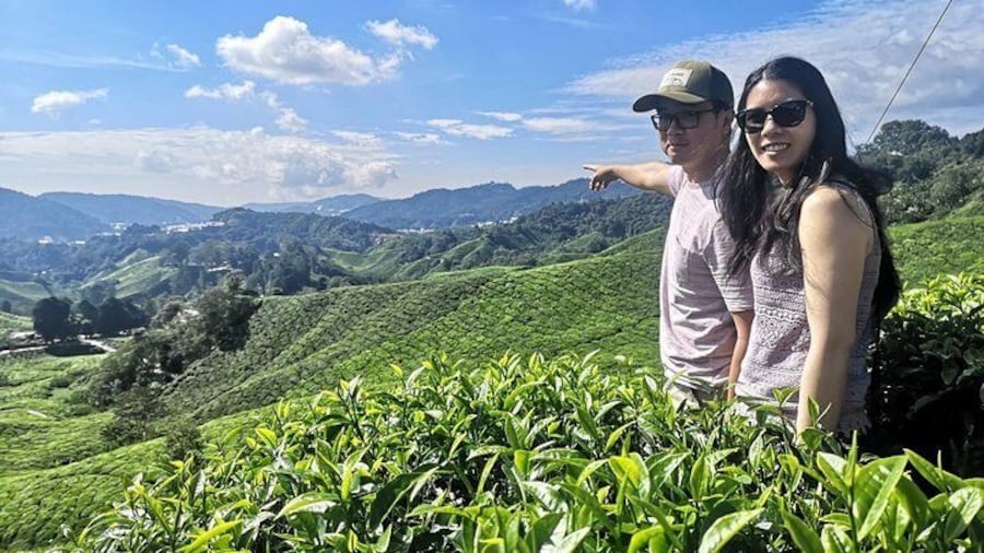 Beautiful Scenery around Boh Tea Plantation