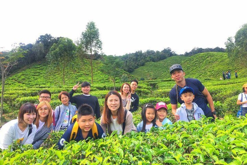 Cameron Highland Sightseeing Tour from Ipoh