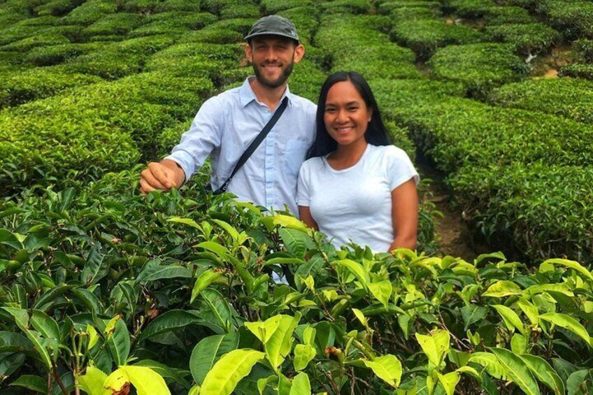 Customer from USA at Kuala Terla Tea Estate