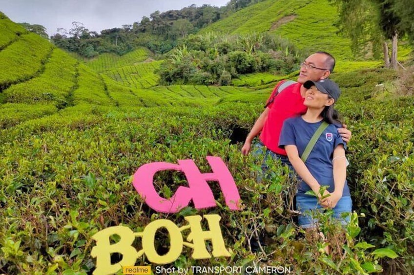 Cameron Highland Best Tour from Kuala Lumpur( Day Trip)