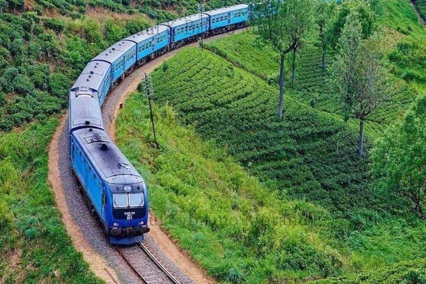 7 Day Sri Lanka - ASY Tours