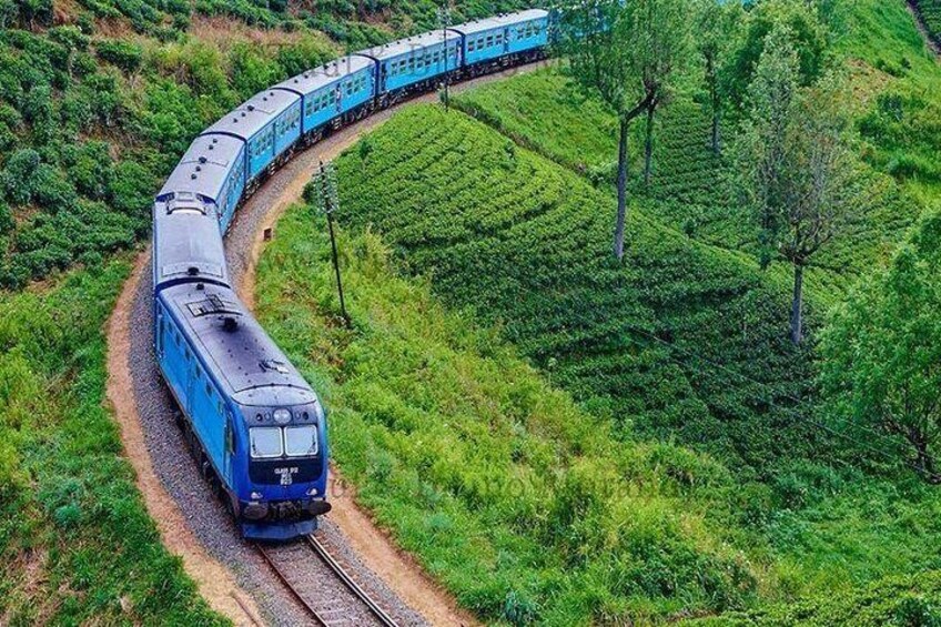 7 Day Sri Lanka - ASY Tours