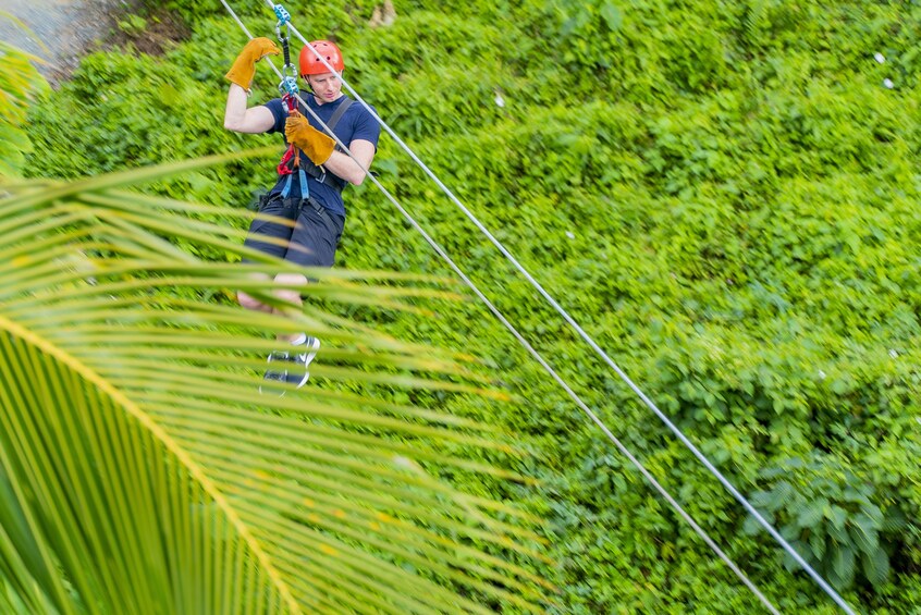 Zipline Adventure & Monkey Jungle HalfDay Tour