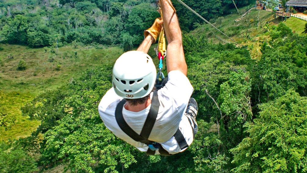 Zipline Adventure & Monkey Jungle HalfDay Tour