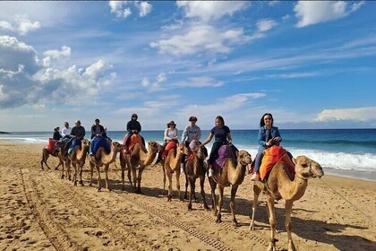 From Tangier: Cap Spartel and Hercules Cave with Camel Ride