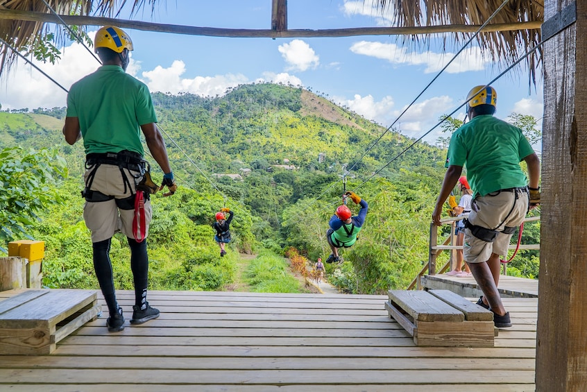 Mountain Zipline Adventure with Fresh Fruits & Drinks
