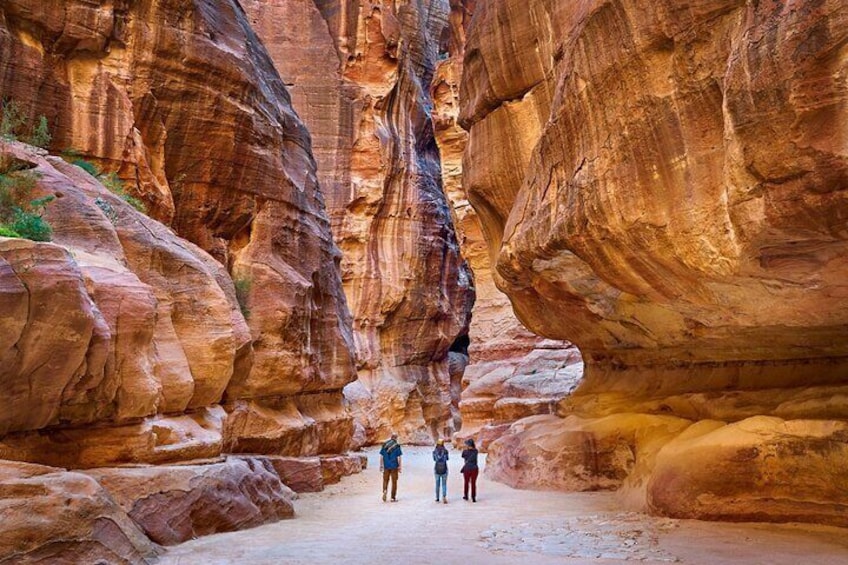 Petra & Wadi Rum (1 Day Private tour)