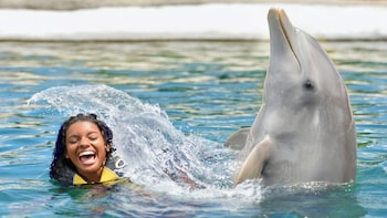 Ocean World Day Pass & Dolphin Swim