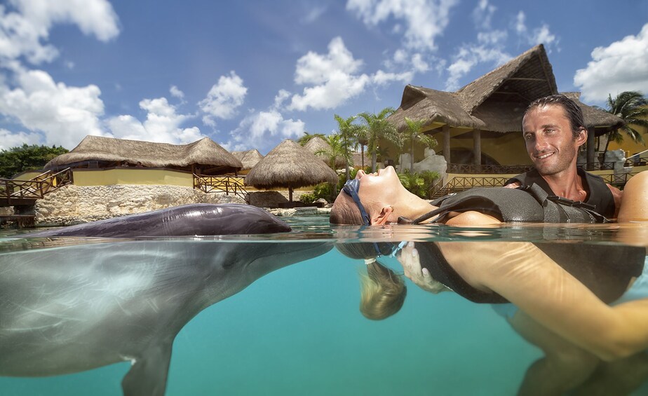 Dolphinaris Cozumel