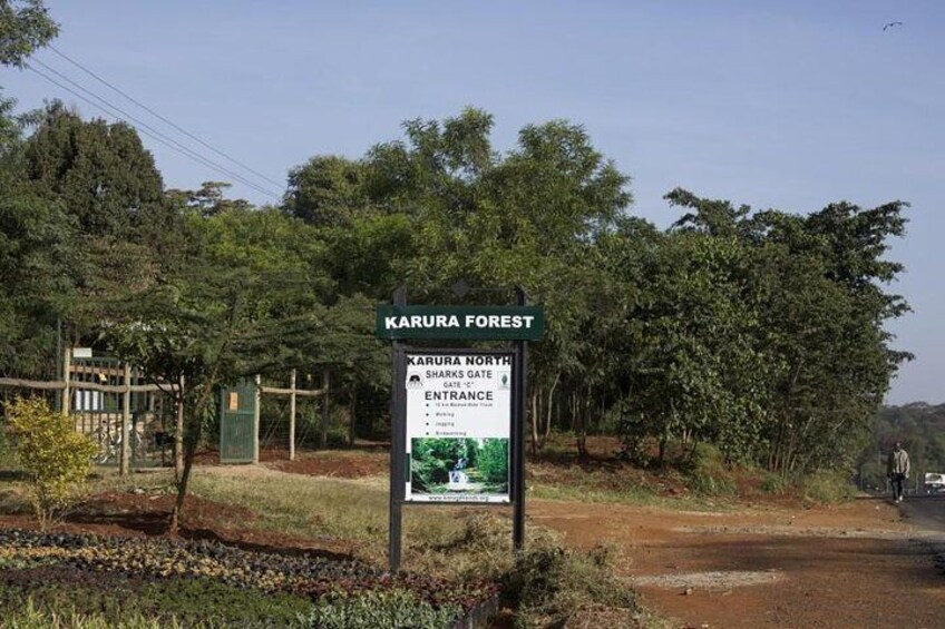 Urban Forest Tour in Nairobi