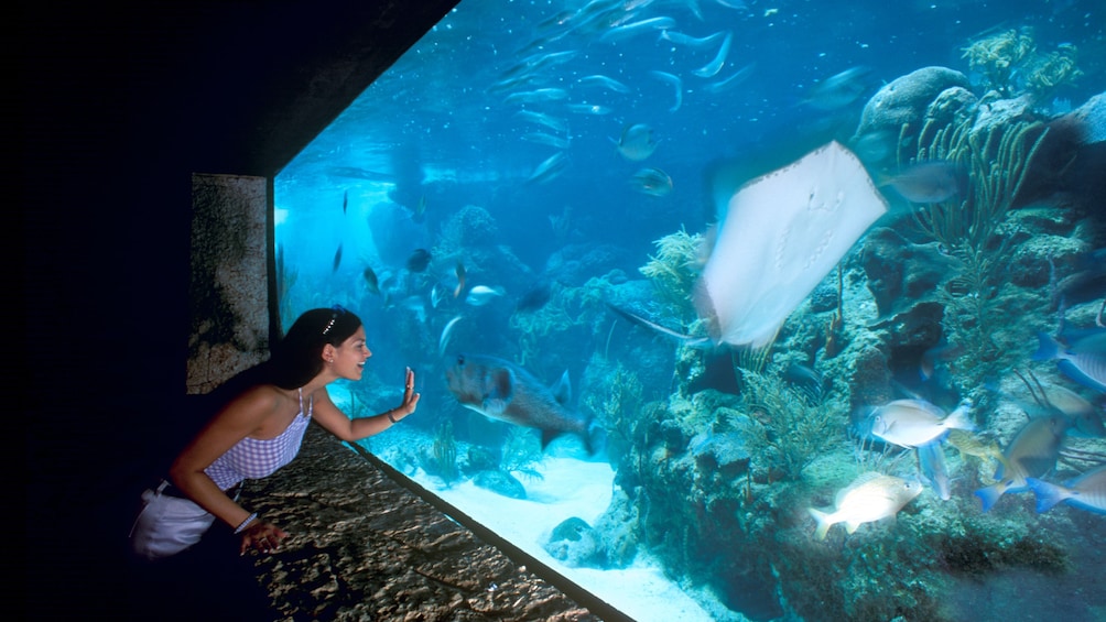 Woman looking at aquarium at Xcaret Park in Riviera Maya