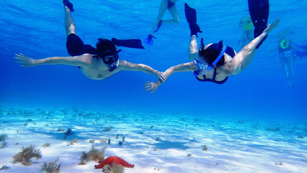 Glass-Bottom Boat Cruise