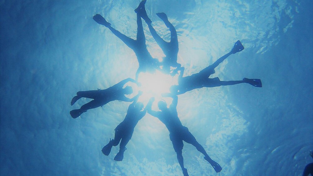 Glass-Bottom Boat Cruise