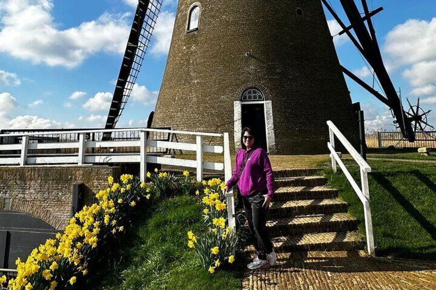 Rotterdam + Kinderdijk: All Inclusive, Guided Private Tour in Rotterdam