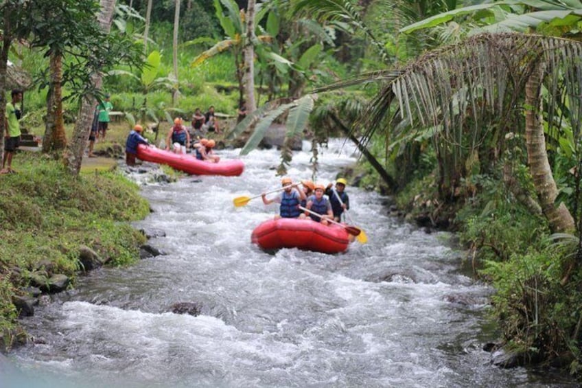 Bali Rafting with Flying Fox