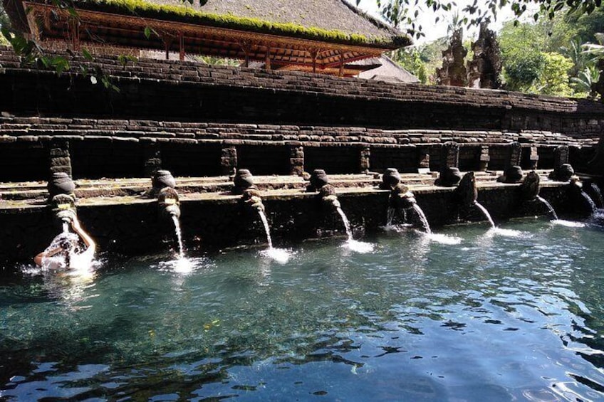Bali Purification Ritual