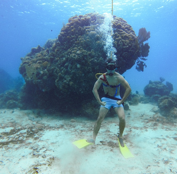 Cozumel Snuba Excursion 