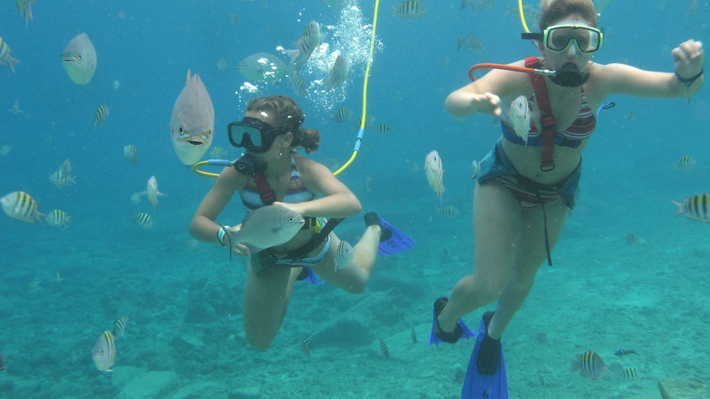Two snuba diving women surrounded by fish in Cozumel
