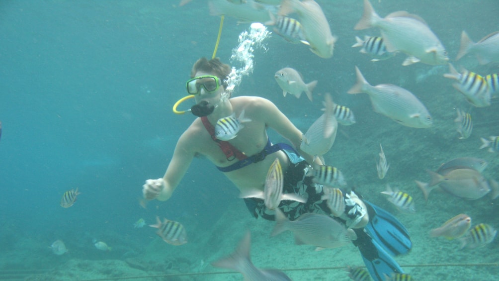 Snuba diving man surrounded by fish in Cozumel