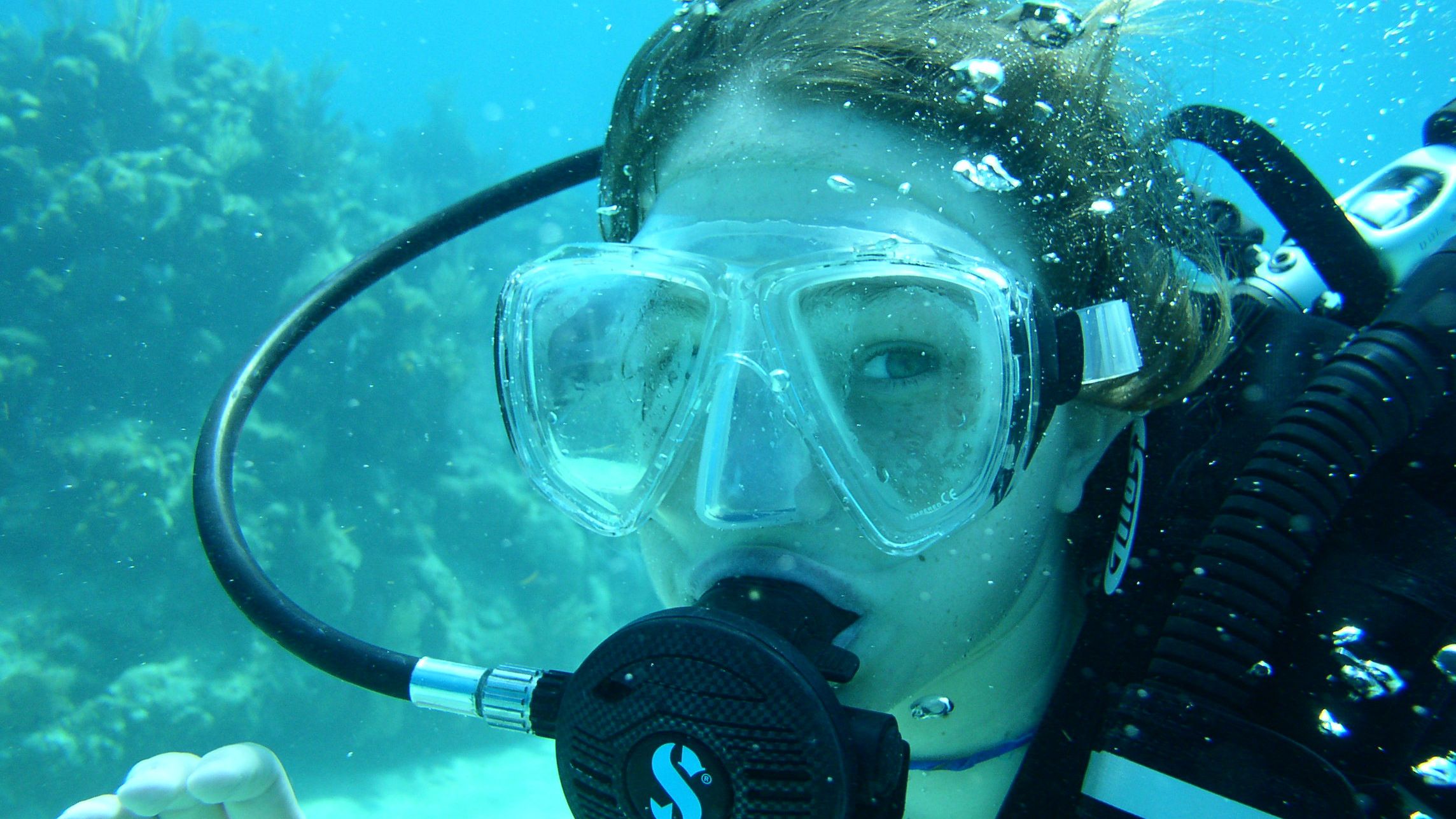 Mini Cozumel Dive Package for Certified Divers