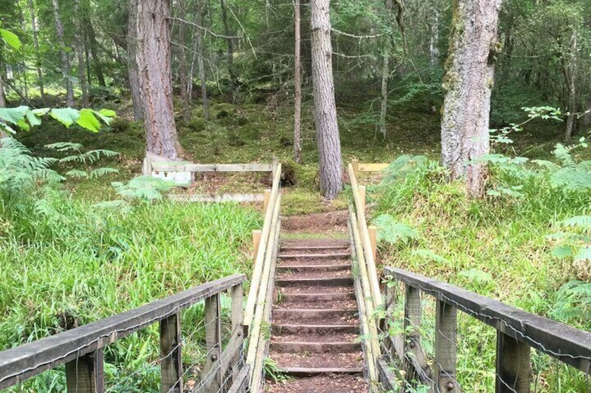 Bridge into the woods at Black Rock Gorge 