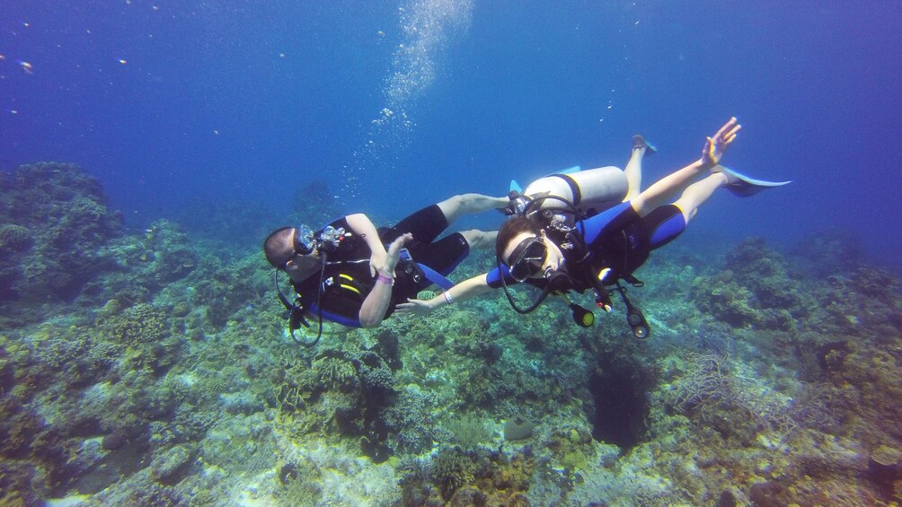 Scuba diving pair in Riviera Maya