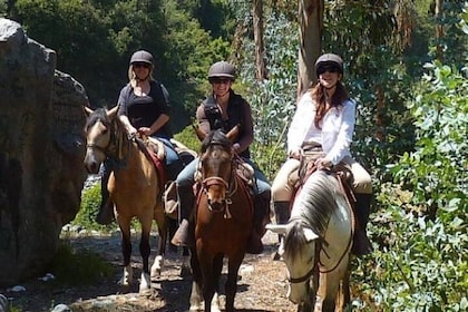 Horseback Riding Plus Tour to Sacsayhuaman, Quenqo, Puka Pucara and Tamboma...