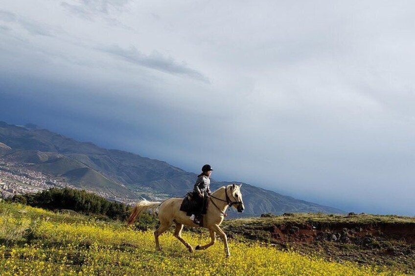 Horseback riding In Cusco
