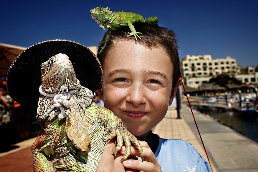 Close-up of boy holding an iguana wearing a sombrero