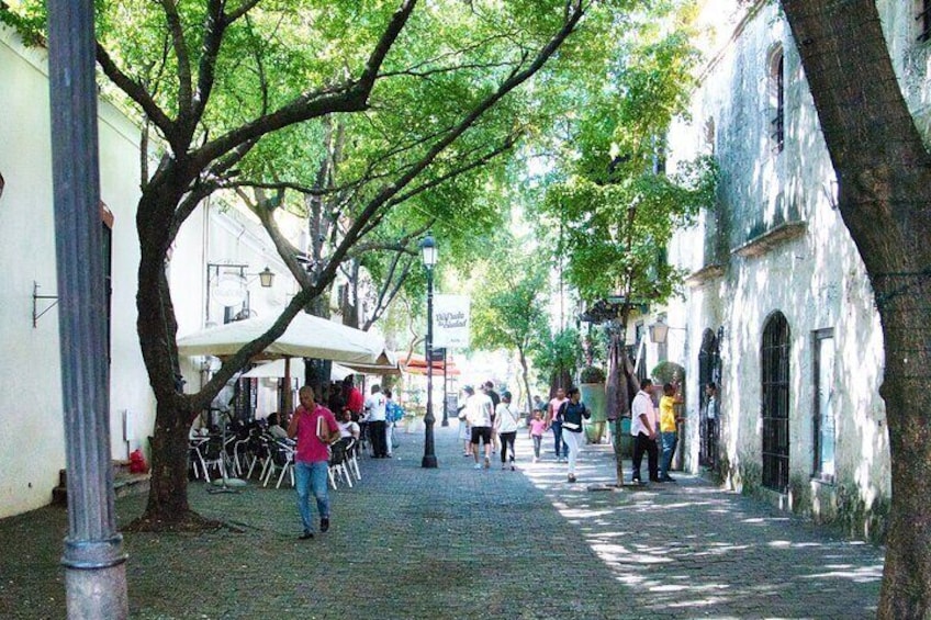 Panoramic City Tour