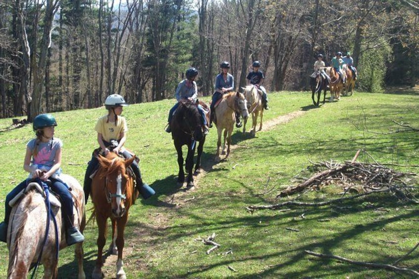 Show item 4 of 9. Flame Azalea and Fern Forest Combo Horseback Trail Ride