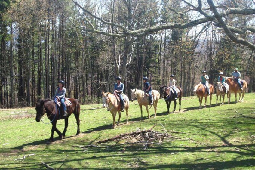 Show item 2 of 9. Flame Azalea and Fern Forest Combo Horseback Trail Ride