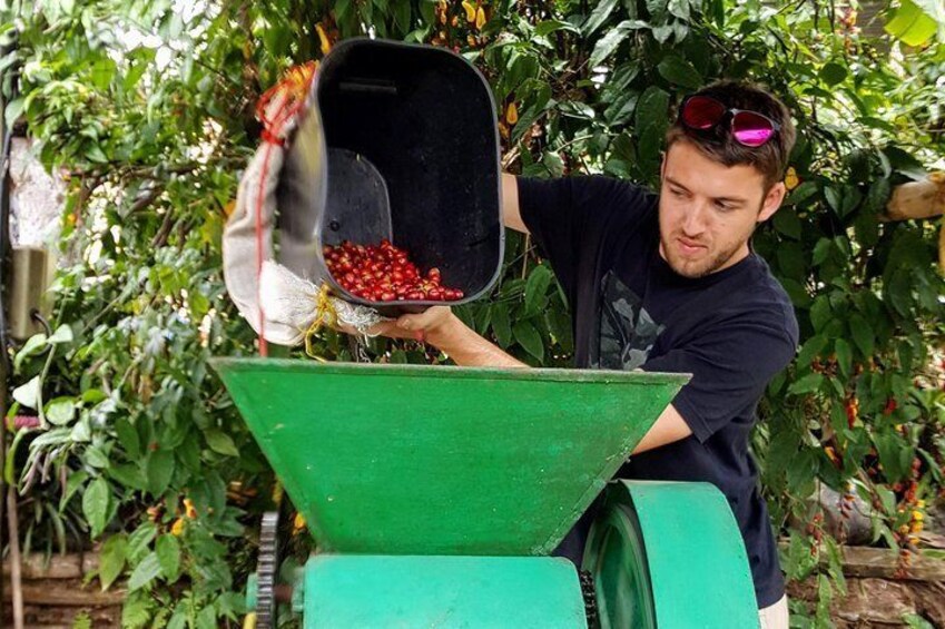 Depulping coffee