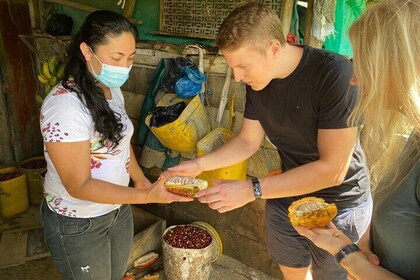 Chocolate tour near Medellin