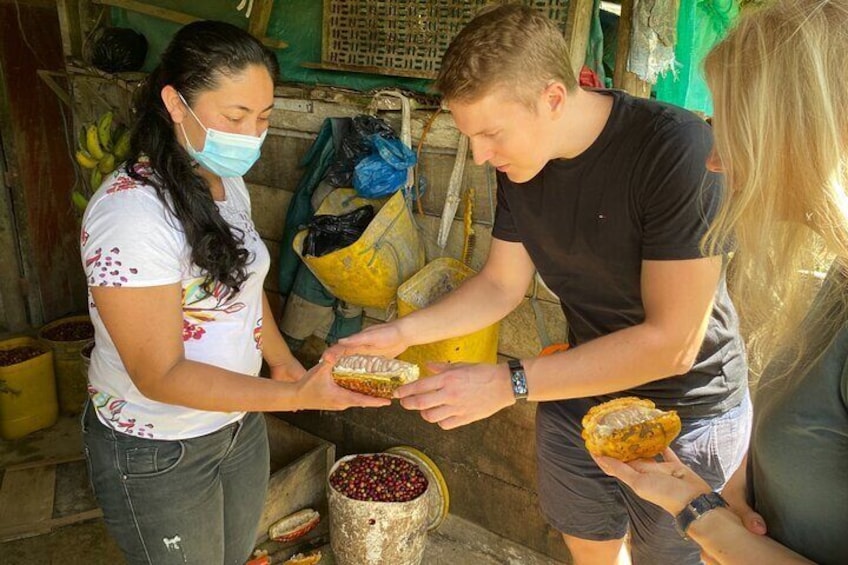 Chocolate tour near Medellin