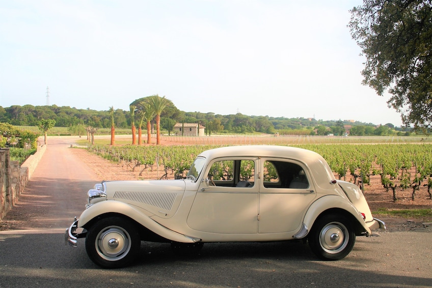 Half-day French Riviera Tour in vintage car  Customized trip