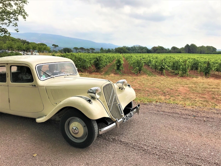Half-day French Riviera Tour in vintage car  Customized trip