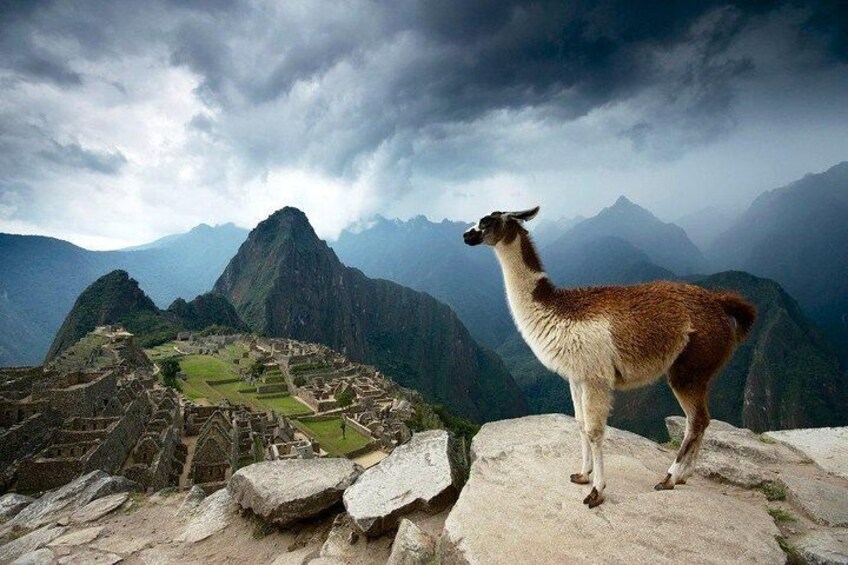 Machupicchu official entrance ticket allows you to enter the area to take pictures