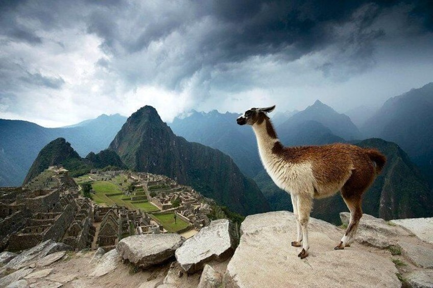 Machupicchu official entrance ticket allows you to enter the area to take pictures